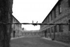 Sono stato ad Auschwitz nel 2006. Questa � una delle foto che ho riportato a casa. E' per� molto difficile esprimere ci� che si riporta a casa dentro di noi dopo aver visitato quei luoghi.
Commenti e critiche sempre bene accetti.