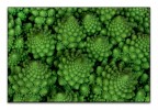 Macro-frattali Macro-frattali
