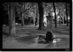 A guardia del parco... A guardia del parco...