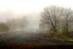Nebbia Nebbia