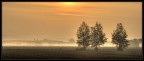 primo mattino primo mattino