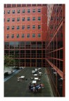 Ora d'aria all'Universitā Bicocca - Milano Ora d'aria all'Universitā Bicocca - Milano