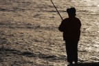 pesca pesca
