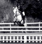 Salto