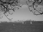 skyline sydney skyline sydney