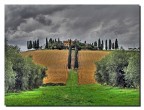 sulla collina sulla collina