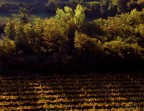 Primi Raggi d'Autunno