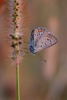 Luce naturale Luce naturale