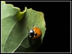 spunto fuori dall'oscurità spunto fuori dall'oscurità