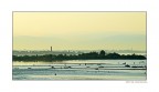 Laguna veneta Laguna veneta