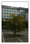 Anomalia in un sistema perfetto ( Milano - Bicocca ) Anomalia in un sistema perfetto ( Milano - Bicocca )
