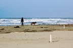 sulla spiaggia sulla spiaggia