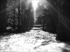 Yosemite Park Yosemite Park
