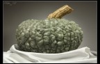 my first still life..

sembra raffinata anche una zucca se si lavora con in giusti mezzi:)..