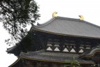 Todaiji Todaiji