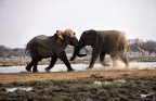 Namibia 230 Namibia 230