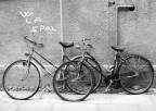 la citt� delle biciclette