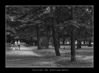 Ricordi d'infanzia Ricordi d'infanzia