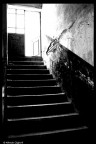 Verso la luce... Verso la luce...