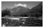 Luogo comune in b/w Luogo comune in b/w