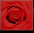 Ipnotica Ipnotica