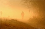 :: "Tu pensoso in disparte il tutto miri...&quo :: "Tu pensoso in disparte il tutto miri...&quo
