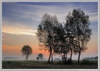 Alba nebbiosa. Alba nebbiosa.