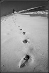 Walk Walk