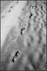 Steps Steps
