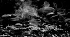 "Smoke" on the water "Smoke" on the water