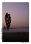 Nebbia.... Nebbia....