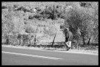 Vecchio viandante Vecchio viandante