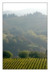 :: mattino :: :: mattino ::