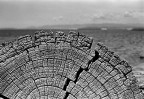 Il vecchio ed il mare Il vecchio ed il mare