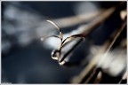 Bellezza naturale : > Bellezza naturale : >