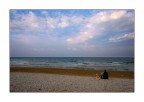 l'uomo, il cane ed il mare l'uomo, il cane ed il mare