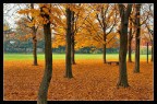 Autunno Autunno