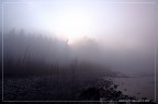 :: "La sua tranquilla imago il Sol dipinge..." :: "La sua tranquilla imago il Sol dipinge..."