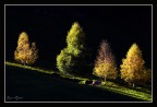 Ultimo raggio d'autunno. Ultimo raggio d'autunno.