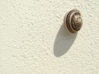 la meridiana la meridiana