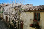 Freschezza Primaverile Freschezza Primaverile