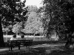 aspettando il domani... aspettando il domani...