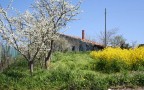 La casa nella prateria La casa nella prateria