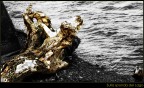 Oro sulla sponda del Lago Oro sulla sponda del Lago