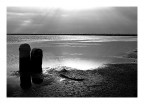 .....desertificazione...... .....desertificazione......