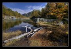 trasparenze d'autunno III trasparenze d'autunno III