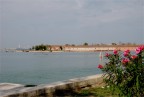 Cartolina lagunare