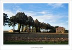 La via alberata..... La via alberata.....