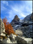 I Segni dell'Autunno I Segni dell'Autunno