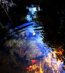 sul fiume d'autunno...